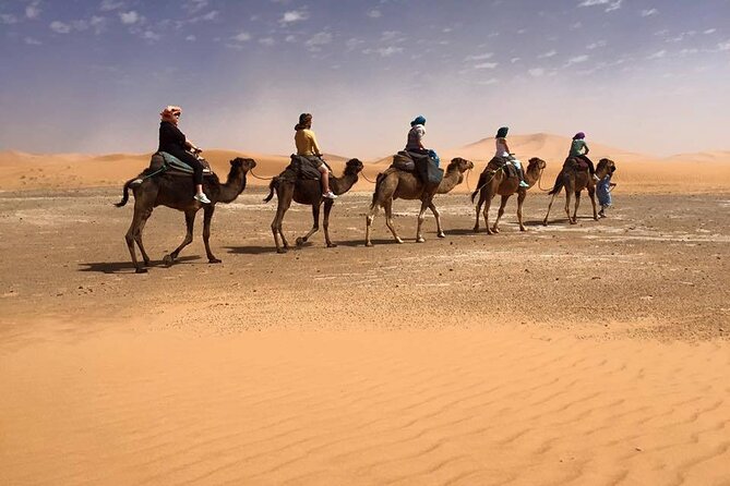 9-Day Journey From Marrakech to Tangier via the Desert and Chefchaouen - Expectation Guidelines