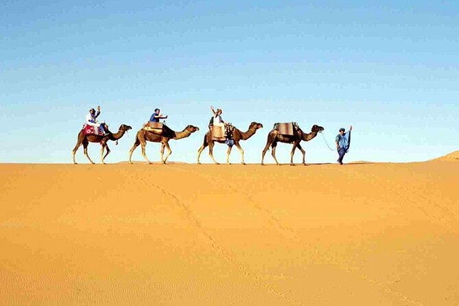 9-Day Journey From Marrakech to Tangier via the Desert and Chefchaouen - Pricing and Reviews