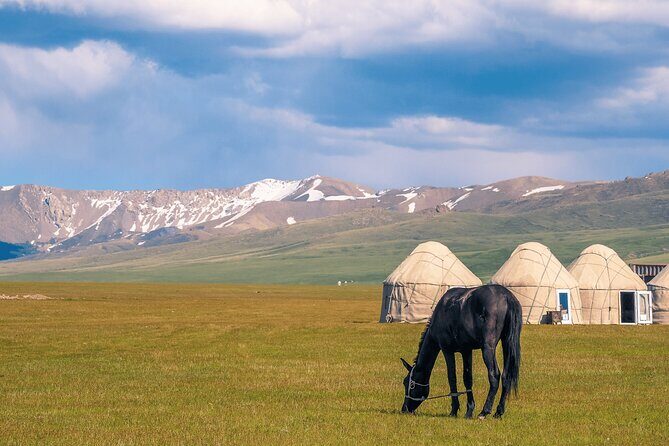 9 Day Kazakhstan and Kyrgyzstan Adventure Hot Springs and Lakes - Final Thoughts