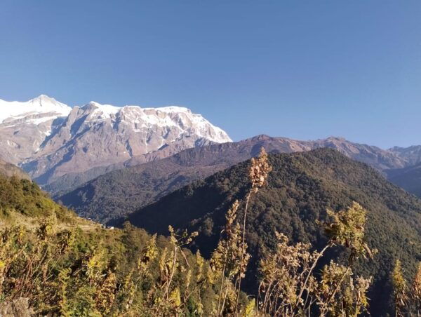 9 Day Pokhara to Timang High-Altitude Trek - Health and Safety