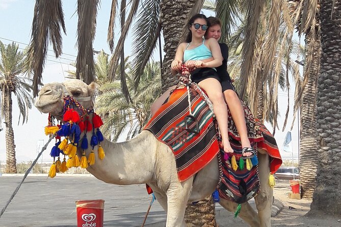 9-Day Private Guide Tour to All Parts of Israel - Guide Services