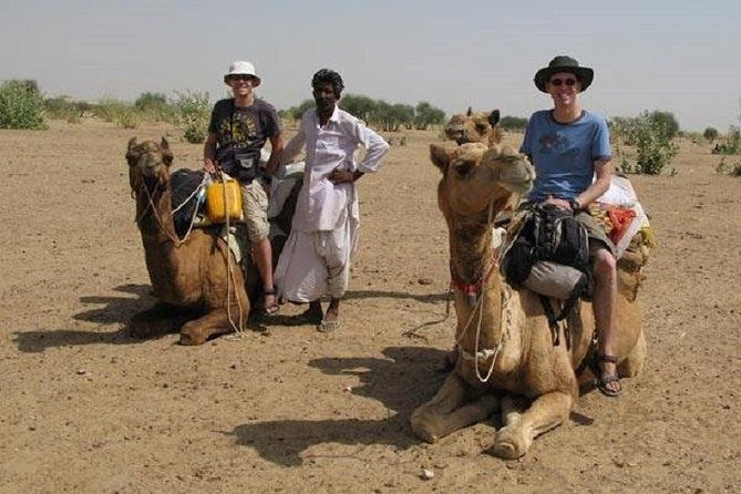 9-Day Private Safari Tour of Rajasthan Sum and Khuri Desert - Meeting and Pickup Information