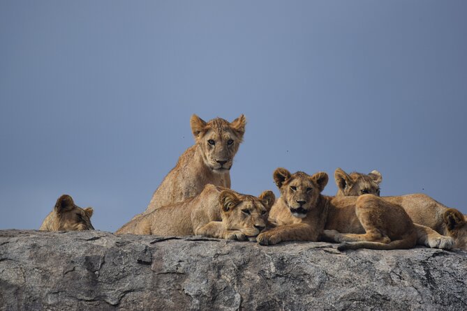9 Day Round Trip Serengeti-Great Migration and Lake Natron - Day 4: Lake Natron Exploration