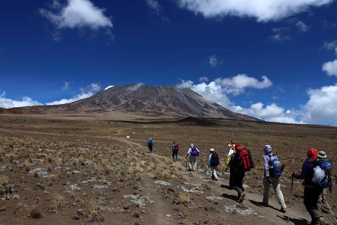 9-Day Small-Group Hiking Tour of Kilimanjaro Machame Route - Safety and Health Guidelines