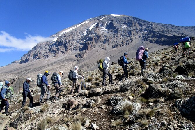 9-Day Small-Group Hiking Tour of Kilimanjaro Machame Route - Booking and Reservation Process