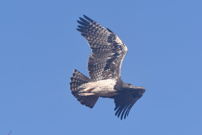 9 Days 8 Nights Safari by Ghalib - Good To Know