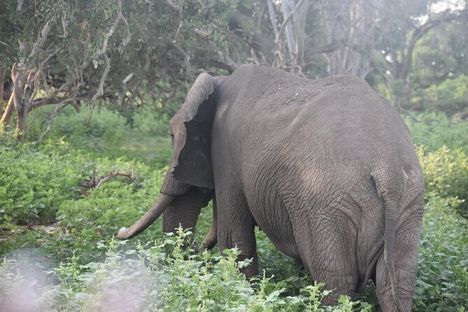 9 Days 8 Nights Safari by Ghalib - Meeting and Pickup Information