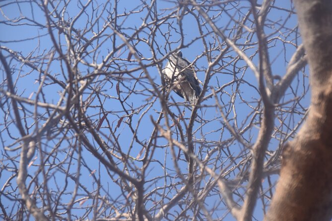 9 Days 8 Nights Safari by Ghalib - What To Expect