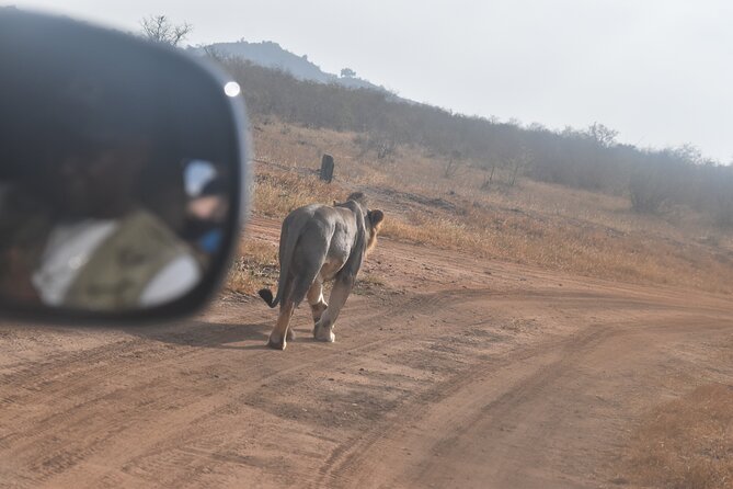 9 Days 8 Nights Safari by Ghalib - Additional Activities Offered