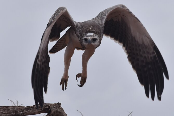 9 Days 8 Nights Safari by Ghalib - Transportation and Guides