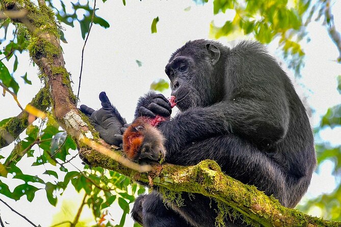 9 Days Adventure And Wildlife Safari - Cultural Experiences