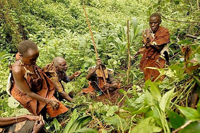 9 Days Adventure And Wildlife Safari - Dining Options