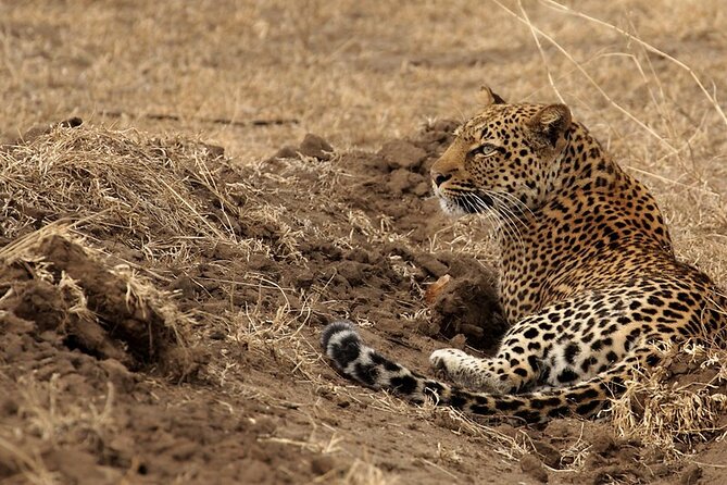 9 Days Adventure And Wildlife Safari - Frequently Asked Questions