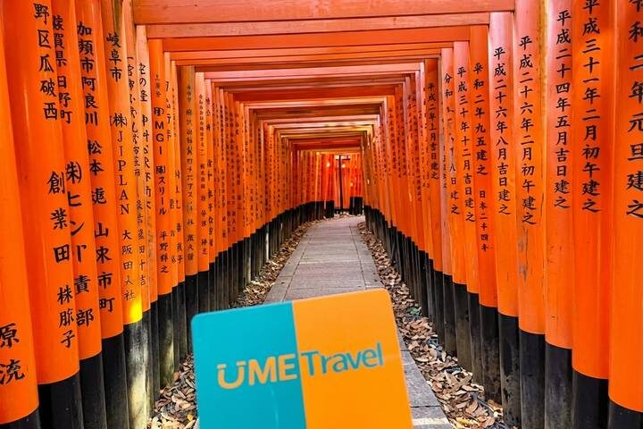 9 Days All Inclusive Japan Classics (Private German Guide and Driver) by UME Travel - At a glance: what the nine days include