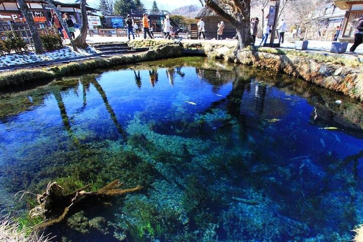 9 Days All Inclusive Japan Classics (Private German Guide and Driver) by UME Travel - Fushimi Inari, Uji tea, and Nara’s deer