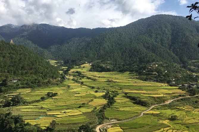 9 Days Authentic Bhutan Tour by Local Experts - Why Choose Local Experts