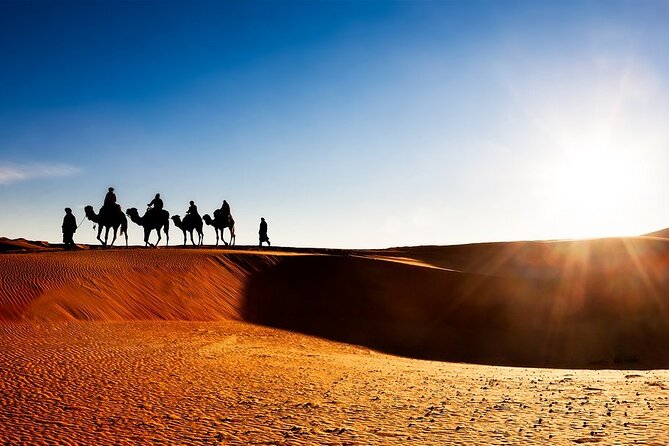 9 Days CAMEL TREK DESERT MOROCCO - Good To Know