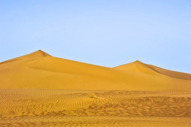 9 Days CAMEL TREK DESERT MOROCCO - Group Size Limit