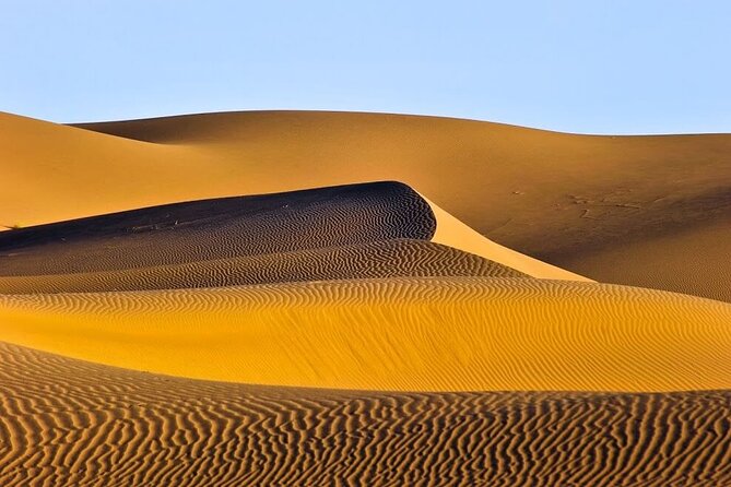 9 Days CAMEL TREK DESERT MOROCCO - Operator Information