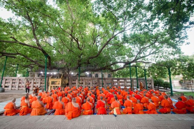 9 - Days Complete Buddha Tour From Delhi - Detailed Itinerary Breakdown