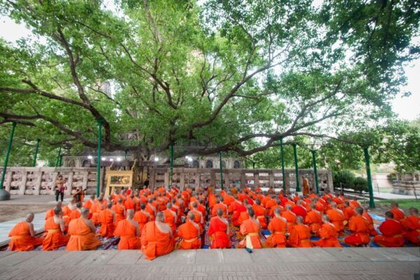 9 - Days Complete Buddha Tour From Delhi - Live Tour Guide