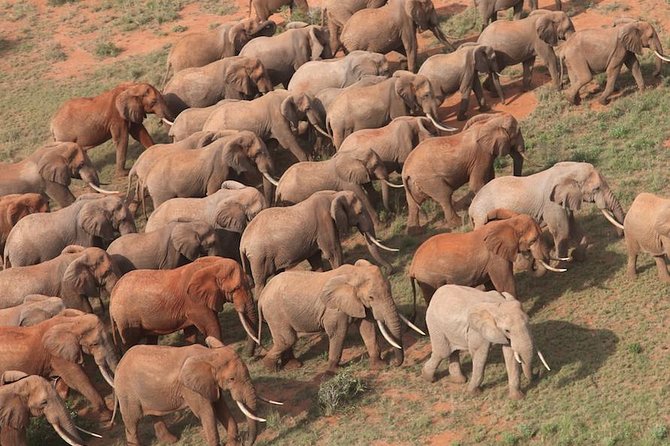 9-Days Discover Kenya Private Safari - Accommodation Details