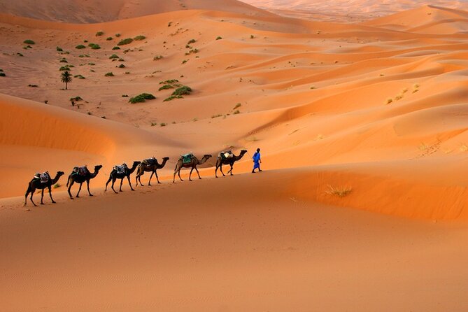 9 Days From Tangier Morocco - Meeting and Pickup Details
