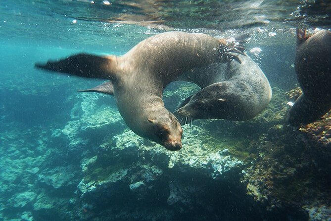 9 Days Galapagos Island Hopping - The Sum Up