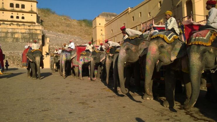 9 Days Golden Triangle India Tour With Jodhpur & Jaisalmer - Tour Highlights