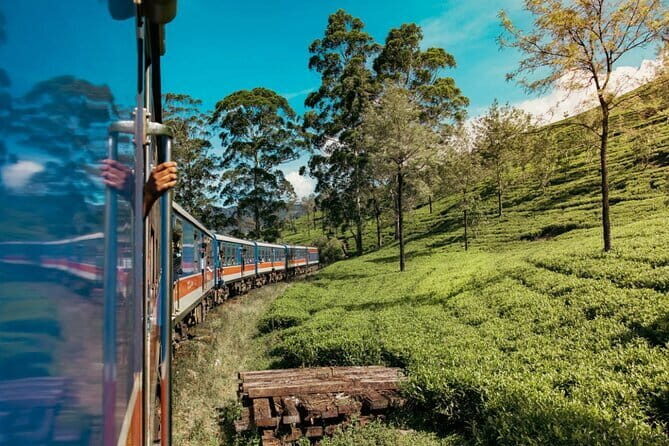 9 Days Guided Tour Through Sri Lanka - Good To Know