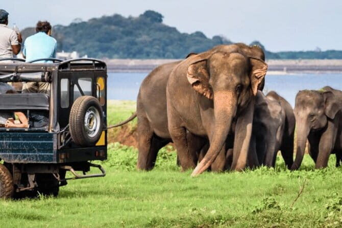 9 Days Guided Tour Through Sri Lanka - What does the tour include and who is it best for?
