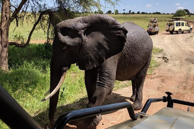 9-Days High End Road and Air Kenya Safari - Booking Requirements