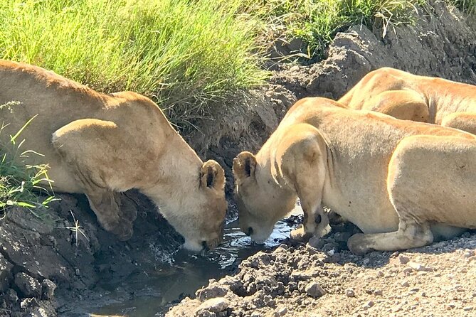 9-Days High End Road and Air Kenya Safari - Cancellation Policy