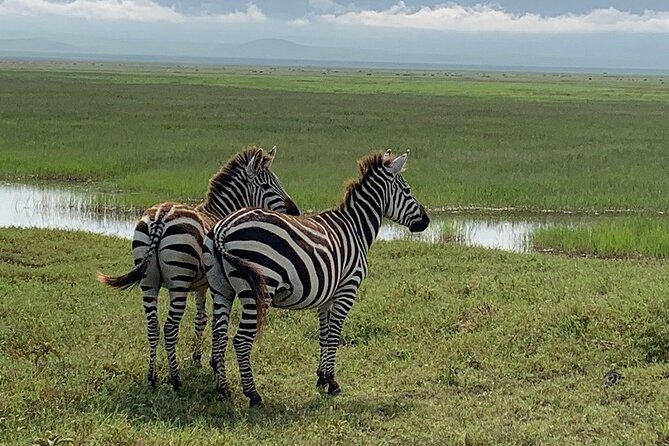 9-Days High End Road and Air Kenya Safari - Meeting and Pickup Details