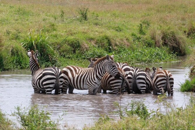 9 Days Honeymoon Private Safari and Zanzibar Beach Tour - Accommodation Details