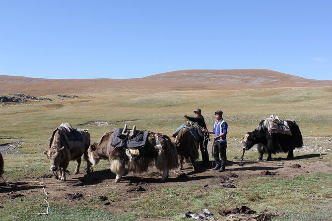 9 Days Horse Trekking to Mongolian Heartland - Authenticities and Special Insights from Reviews