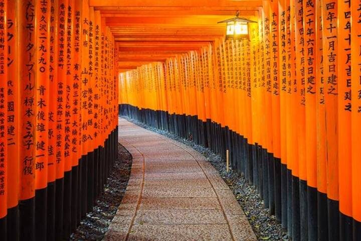 9 Days In Depth Cultural Japan Small Group Tour by UME Travel - Osaka to Tokyo - Kyoto begins with temples, not an airport pickup