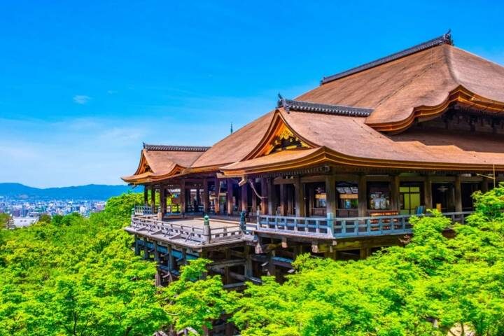 9 Days In Depth Cultural Japan Small Group Tour by UME Travel - Osaka to Tokyo - Nara’s Great Buddha, then Osaka after dark