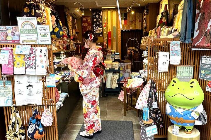 9 Days Japan Classic Tour (Private Guided) by Odynovo - A Shinkansen ride and Kyoto’s spiritual center