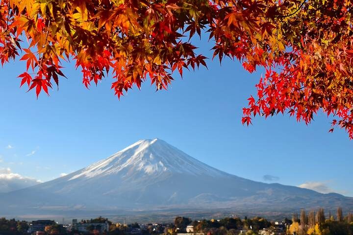 9 Days Japan Classic Tour (Private Guided) by Odynovo - Choosing between Arashiyama and Nara