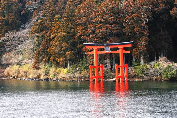 9 Days Japan Classic Tour (Private Guided) by Odynovo - Osaka’s food streets and a day-trip decision