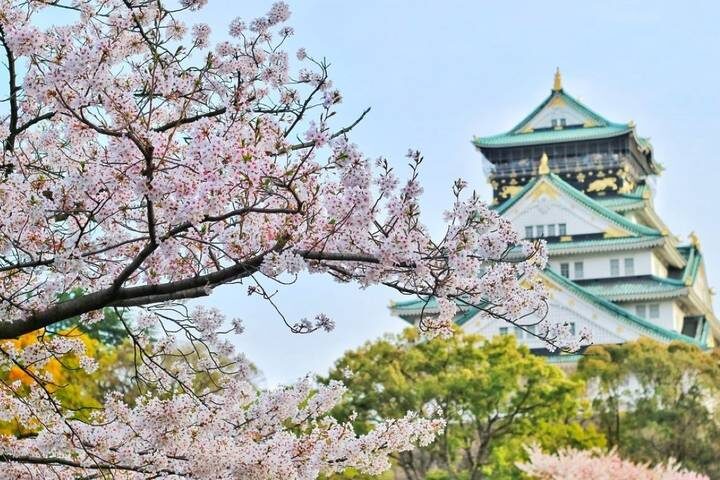 9 Days Japan Golden Tour Package WITH OISHI PARK by Delightful Travel - Day 1: Arriving in Narita, sleeping in Tokyo