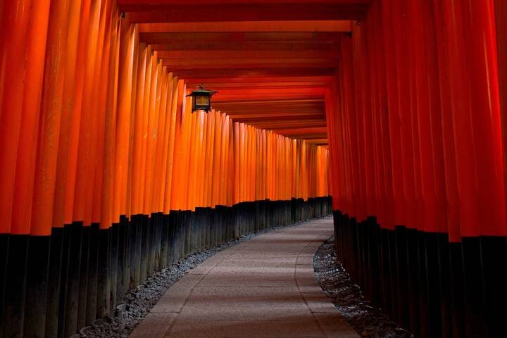 9 Days Japan Golden Tour Package WITH OISHI PARK by Delightful Travel - Day 5: Fushimi Inari, Nara deer and Osaka shopping