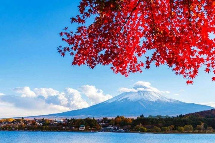 9 Days Japan Golden Tour Package WITH OISHI PARK by Delightful Travel - Day 6: Shinsekai, Tsutenkaku and Osaka food