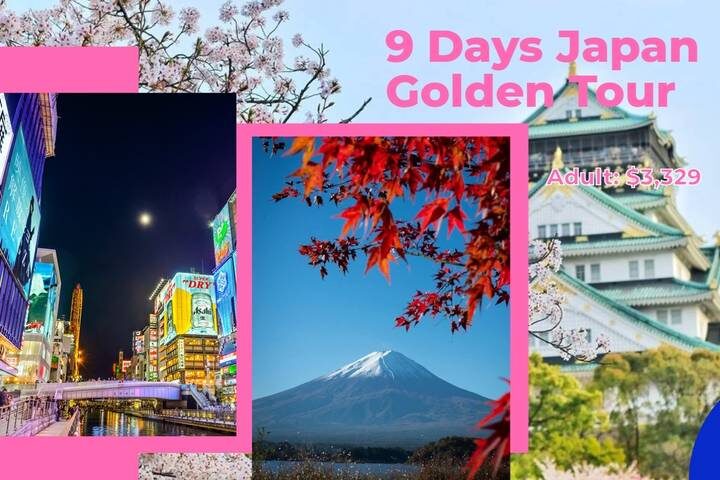 9 Days Japan Golden Tour Package WITH OISHI PARK by Delightful Travel - What the price covers, and what needs checking
