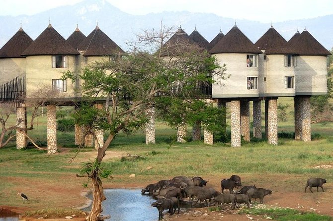 9 Days Kenya Classic Lodge Safari - Additional Information