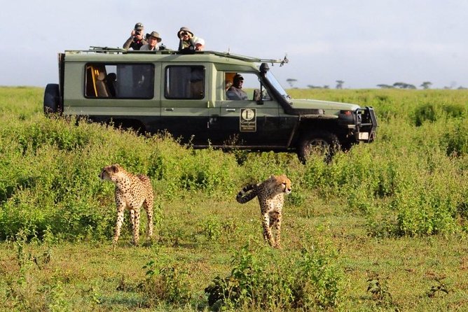 9 Days Kenya Classic Lodge Safari - Frequently Asked Questions