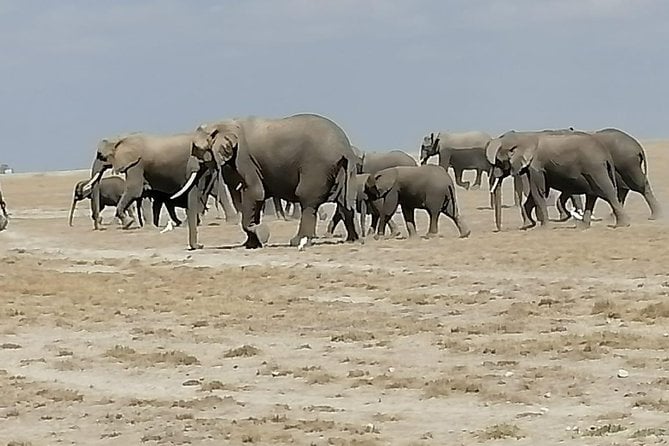 9 Days Kenya Family Safari Holiday Packages - Accommodation Options