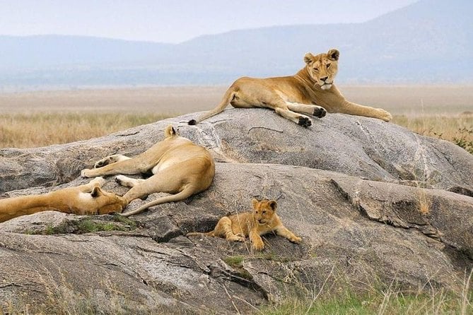 9 Days Kenya Family Safari Holiday Packages - Family-Friendly Attractions