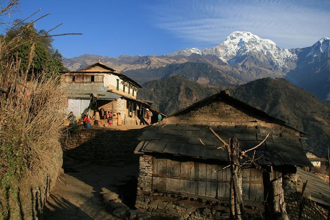 9 Days Kids Friendly Lower Annapurna Royal Trek - Accommodation Options and Homestay Experience